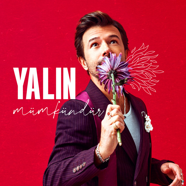 کاور آهنگ Mümkündür از Yalin