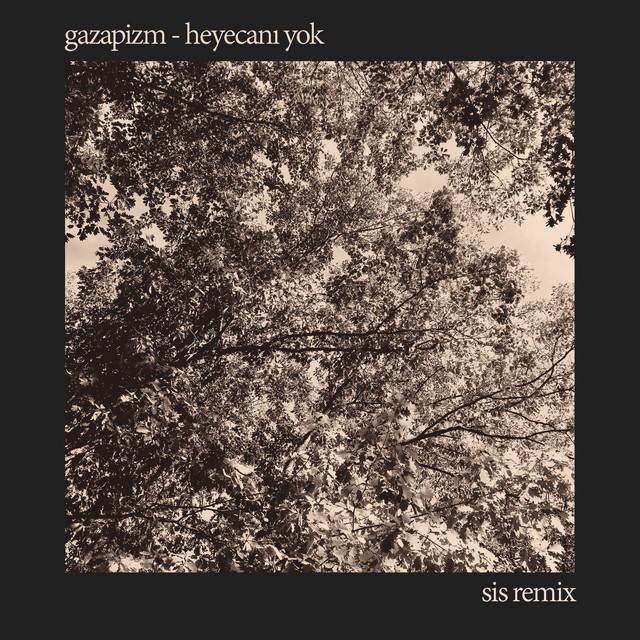 کاور آهنگ Heyecanı Yok - SIS Remix از Gazapizm, BURAK SIS