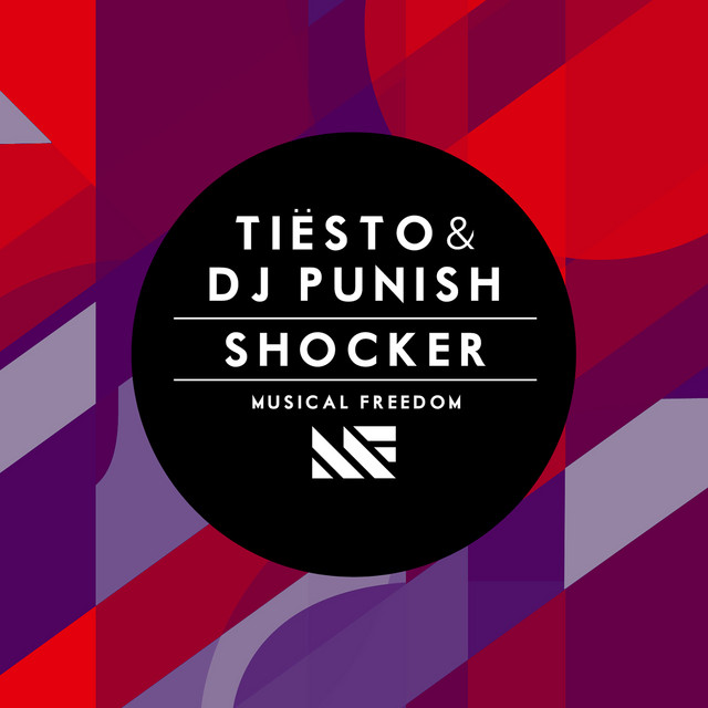کاور آهنگ Shocker از Tiësto, Dj Punish