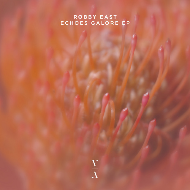 کاور آلبوم Echoes Galore EP از Robby East
