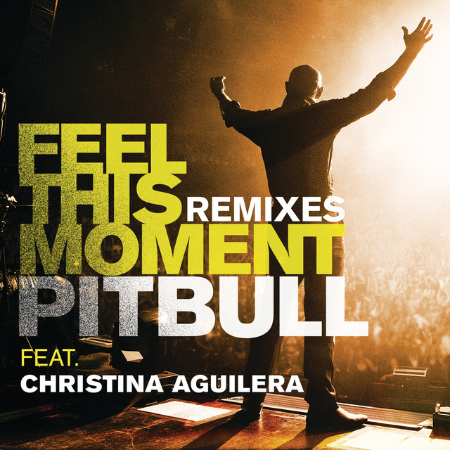 کاور آهنگ Feel This Moment (feat. Christina Aguilera) - Riddler & Reid Stefan Club Mix از Pitbull, Christina Aguilera, Rich "Riddler" Pangilinan, Reid Stefan