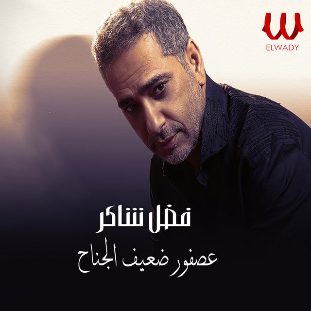 کاور آهنگ عصفور ضعيف الجناح از Fadel Chaker