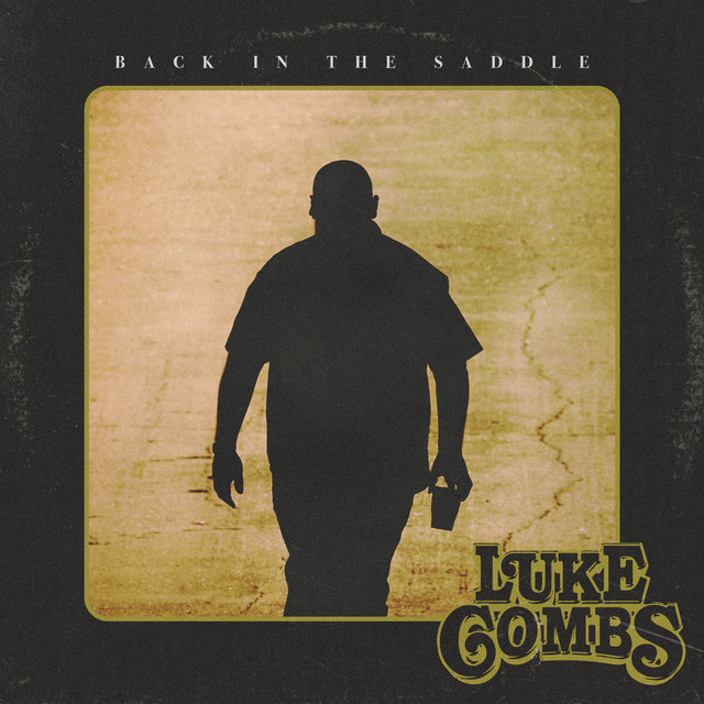 کاور آهنگ Back in the Saddle از Luke Combs