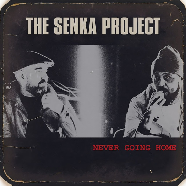 کاور آهنگ Never Going Home از DRS, Dub Phizix, The Senka Project