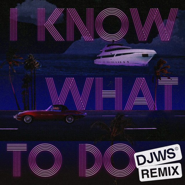 کاور آهنگ I Know What To Do - DJWS Remix از Robin Thicke, DJ White Shadow