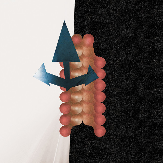کاور آلبوم Cross Passage از Wata Igarashi, Polygonia
