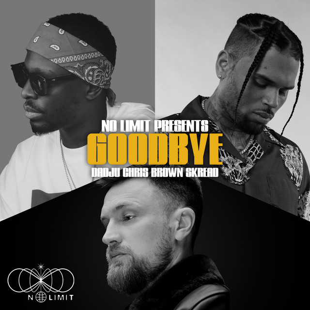 کاور آهنگ Goodbye از Chris Brown, No Limit, Dadju, Skread