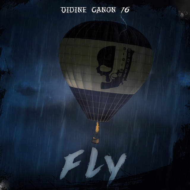کاور آهنگ Fly از Didine Canon 16