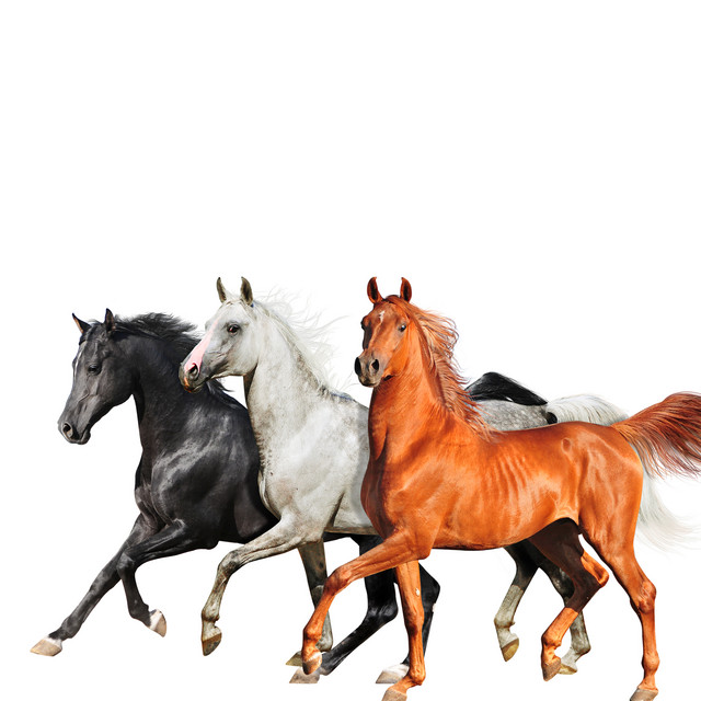 کاور آهنگ Old Town Road - Diplo Remix از Lil Nas X, Diplo, Billy Ray Cyrus