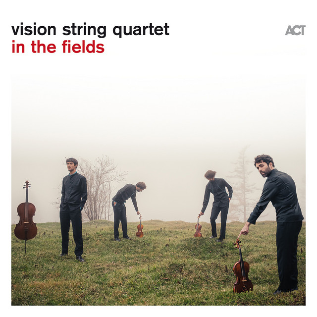 کاور آلبوم Skymning از vision string quartet, Joel Lyssarides