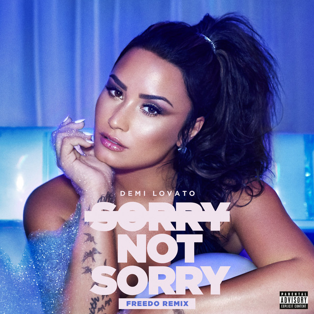 کاور آهنگ Sorry Not Sorry - Freedo Remix از Demi Lovato, Freedo