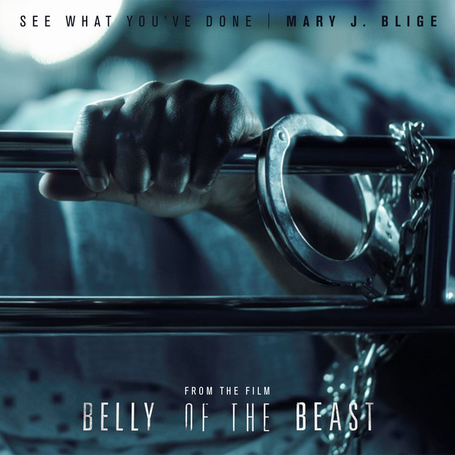 کاور آهنگ See What You've Done - From The Film Belly Of The Beast از Mary J. Blige