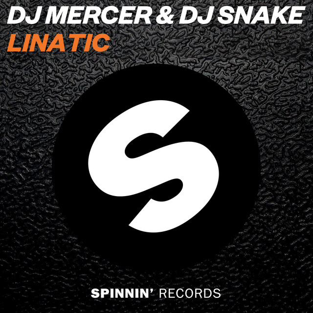 کاور آهنگ Lunatic از DJ Snake, DJ MERCER
