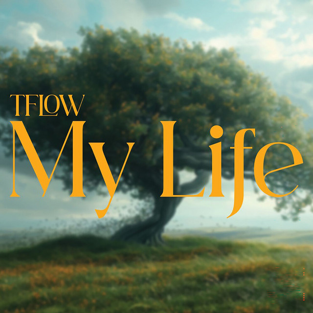 کاور آهنگ MY LIFE از Tflow