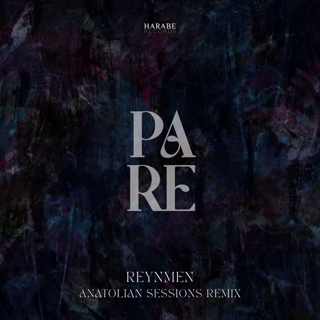 کاور آهنگ Pare - Anatolian Sessions Remix از Anatolian Sessions, Reynmen