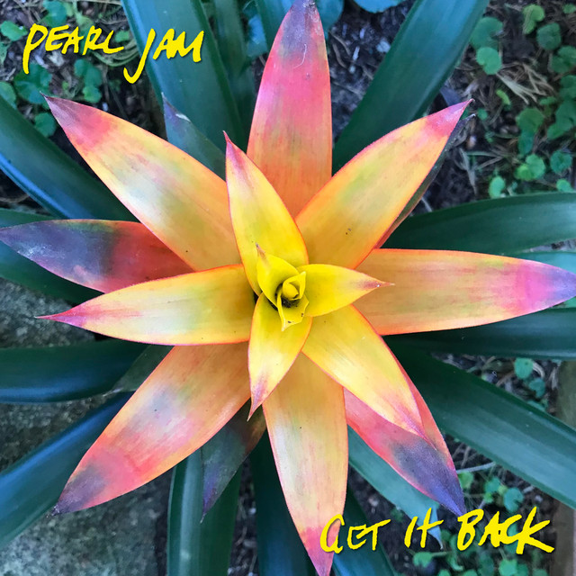 کاور آهنگ Get It Back از Pearl Jam