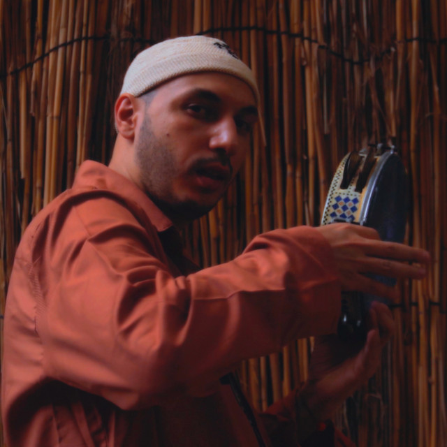 کاور آهنگ Saradeeb از Molotof
