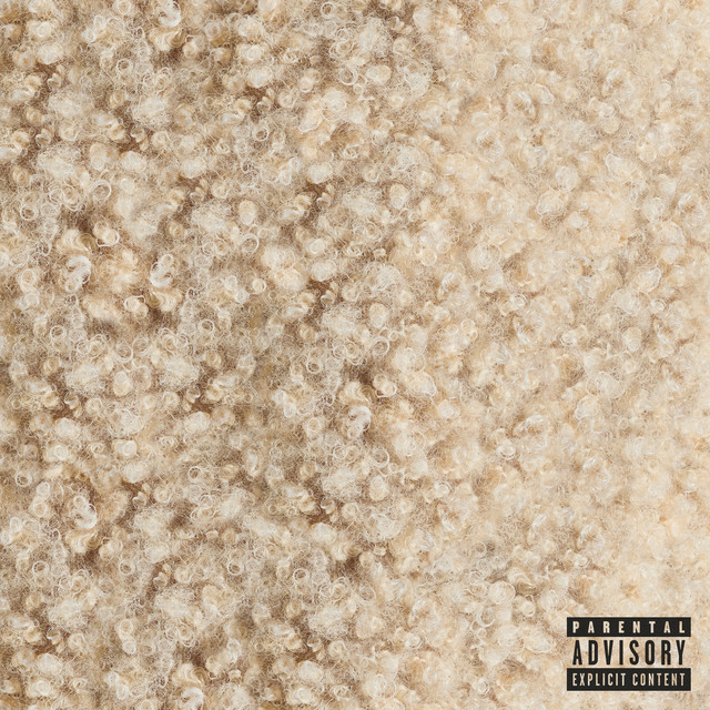 کاور آهنگ OKLOSER از Doja Cat