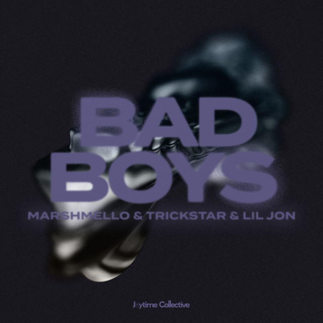 کاور آهنگ Bad Boys از Marshmello, TRICKSTAR, Lil Jon