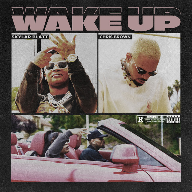 کاور آهنگ Wake Up (feat. Chris Brown) از Chris Brown, Skylar Blatt