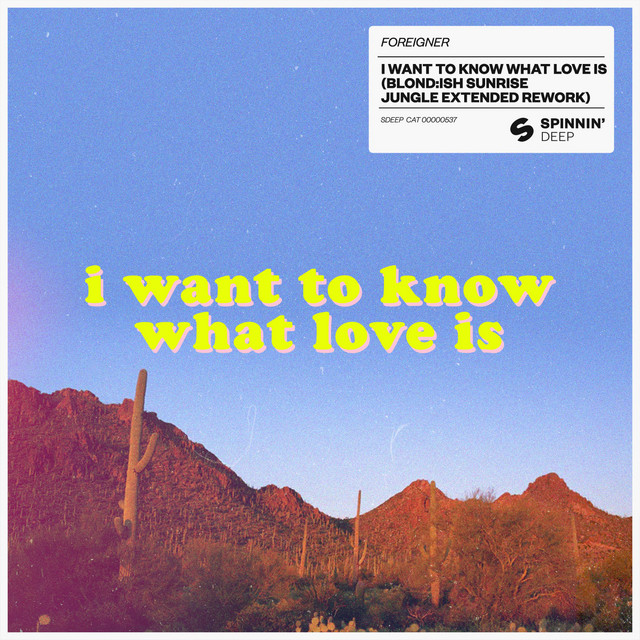 کاور آهنگ I Want To Know What Love Is - BLOND:ISH Sunrise Jungle Extended Rework از BLOND:ISH, Foreigner