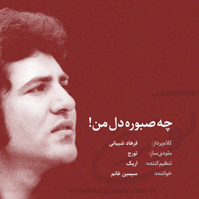 کاور آهنگ چه صبوره دل من از شبانه‌ی دوم, سیمین غانم