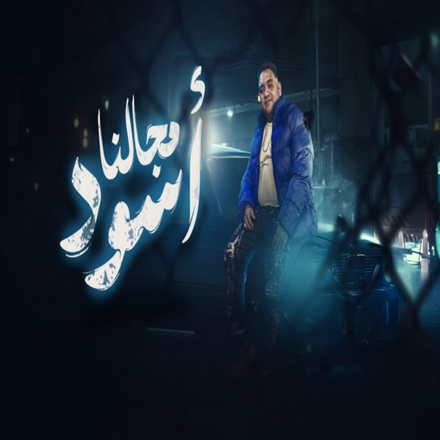 کاور آهنگ EGA262500248 از Mody Amin