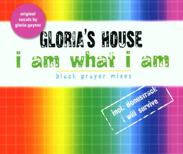 کاور آلبوم I Am What I Am - 2002 Mixes از Gloria Gaynor