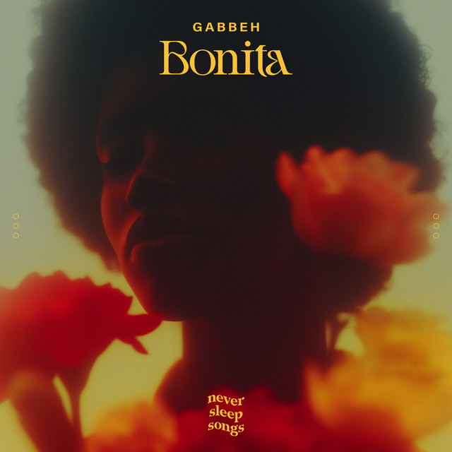 کاور آهنگ Bonita از NeverSleepSongs, GABBEH