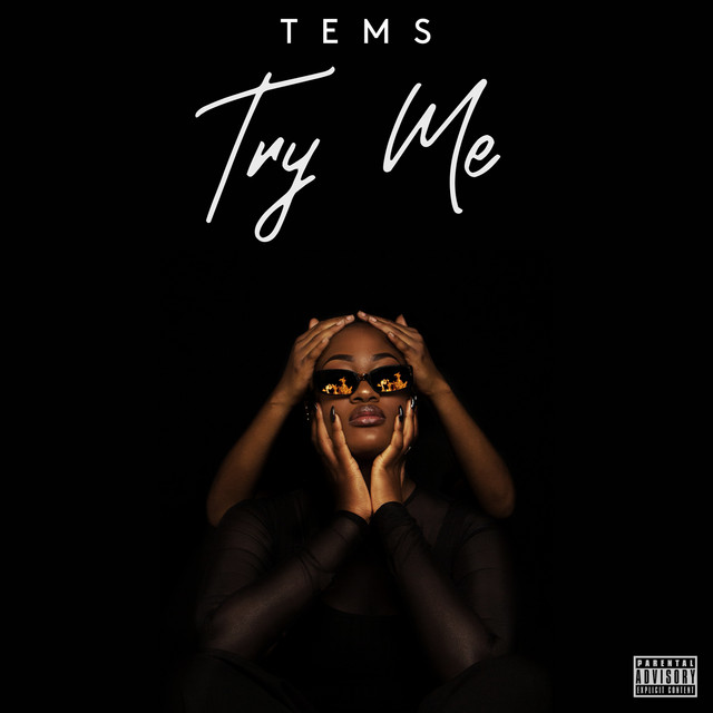 کاور آهنگ Try Me از Tems