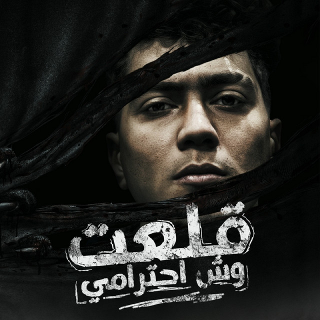 کاور آهنگ قلعت وش احترامى از Hamo ElTikha