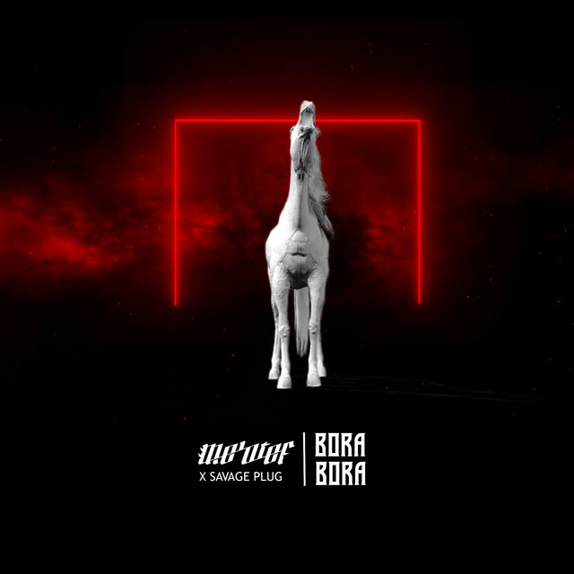 کاور آهنگ Bora Bora از Savage Plug, Molotof