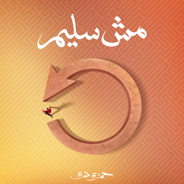کاور آهنگ Mesh Saleem از Hamza Namira