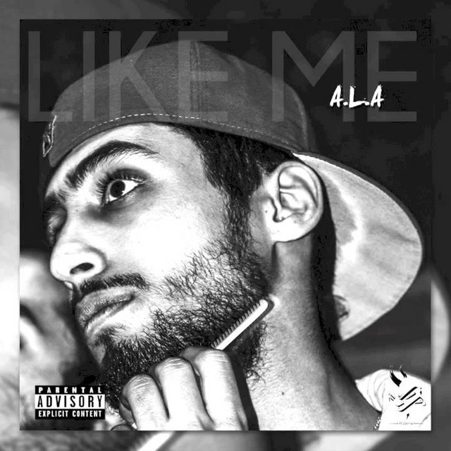 کاور آهنگ Like Me از A.L.A