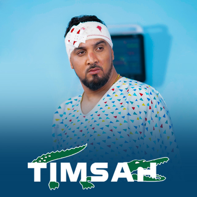کاور آهنگ TIMSAH از 7-Toun