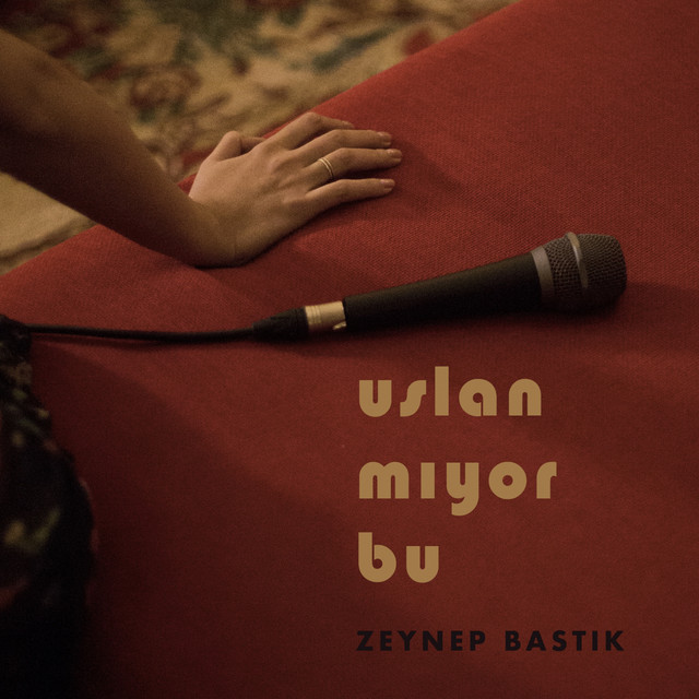 کاور آهنگ Uslanmıyor Bu از Zeynep Bastik