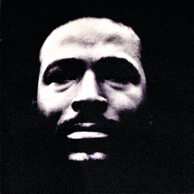 کاور آلبوم Vulnerable از Marvin Gaye