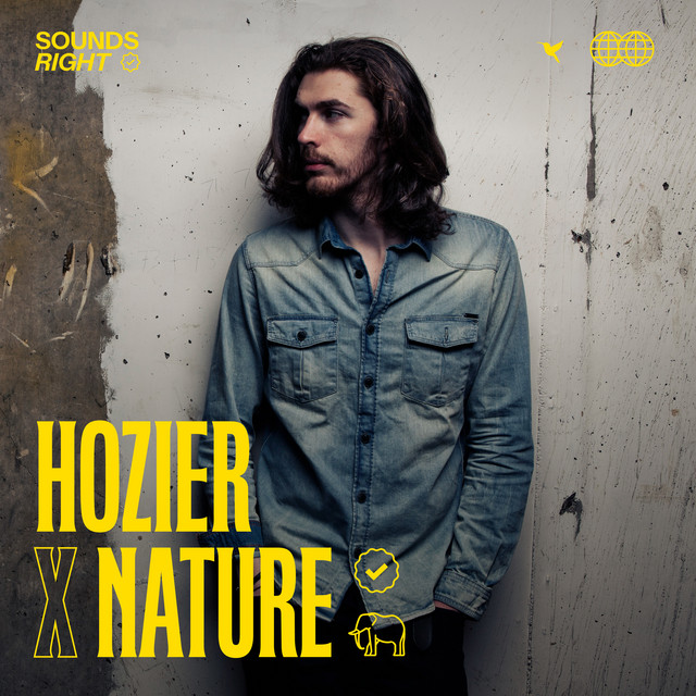 کاور آهنگ Like Real People Do (feat. NATURE) از Hozier, NATURE