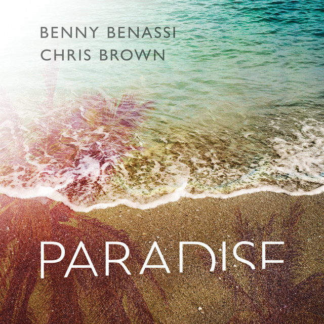 کاور آهنگ Paradise - Radio Edit از Chris Brown, Benny Benassi