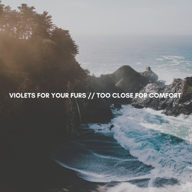 کاور آلبوم Violets for Your Furs از Jutta Hipp
