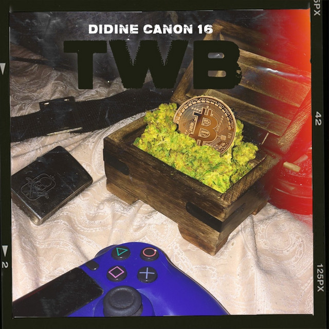 کاور آهنگ TWB از Didine Canon 16