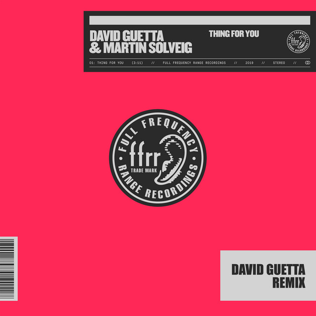 کاور آهنگ Thing for You از David Guetta, Martin Solveig