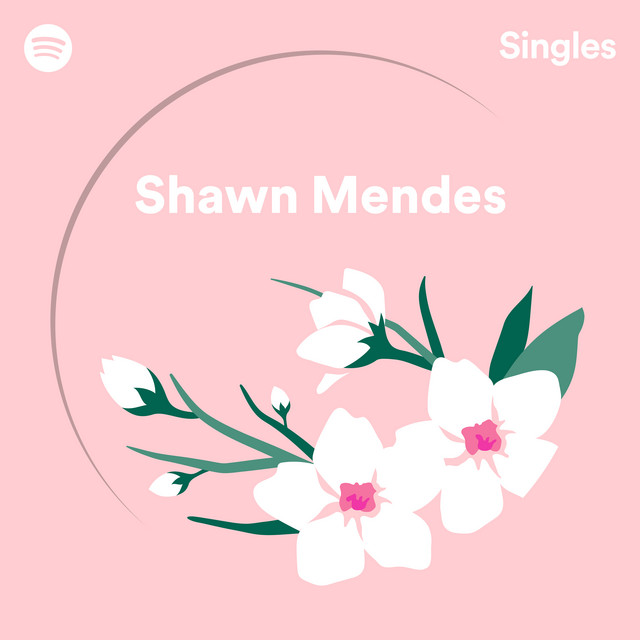 کاور آهنگ Use Somebody - Recorded at Spotify Studios NYC از Shawn Mendes