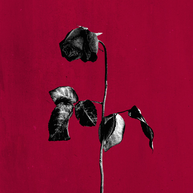 کاور آهنگ dirty laundry - slowed از blackbear