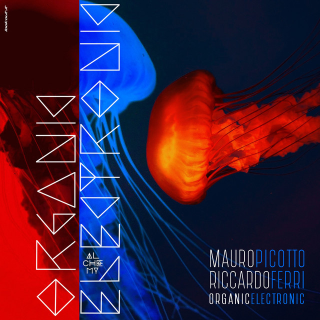 کاور آهنگ Organic Electronic از Mauro Picotto, Riccardo Ferri