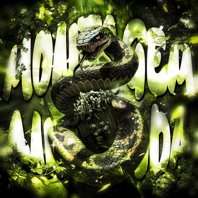 کاور آلبوم MONTAGEM ANACONDA از SICXRIUS