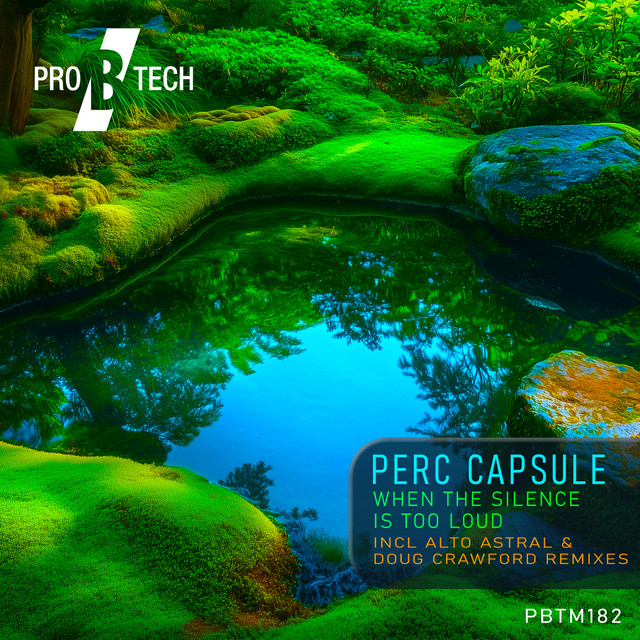 کاور آهنگ When the Silence Is Too Loud - Alto Astral Remix از Alto Astral, Perc Capsule