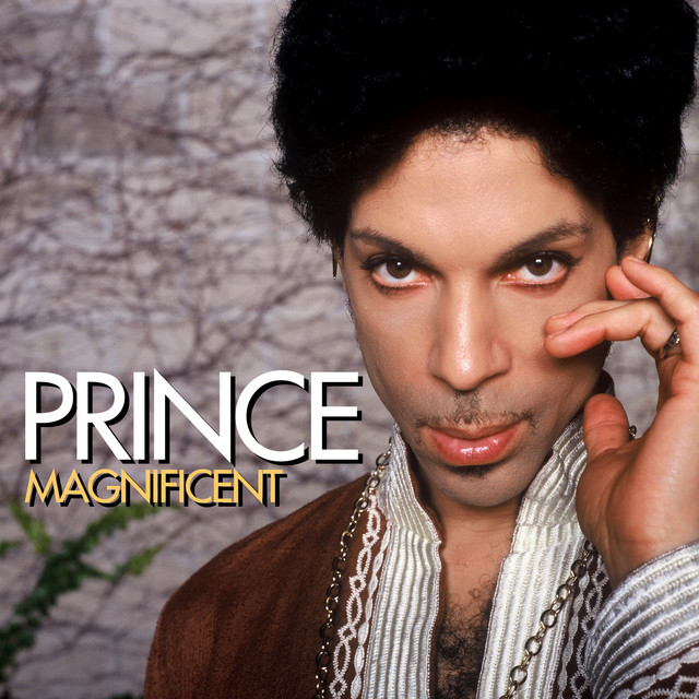کاور آهنگ Magnificent از Prince