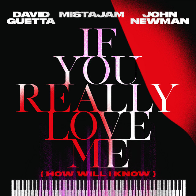 کاور آلبوم If You Really Love Me (How Will I Know) از David Guetta, John Newman, MistaJam