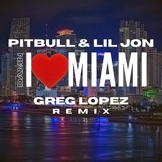 کاور آلبوم D@mn I Love Miami (Remixes) از Pitbull